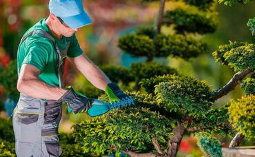 техничка на пол дня: Вакансия: Садовник 🌿🌼 Обязанности: - Уход за растениями, цветами и