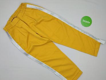 lidl softshell damski: Spodnie materiałowe damskie, rozmiar M — 2