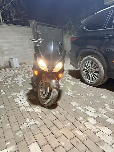 ош сукутер: Макси-скутер Honda, 250 куб. см, Бензин, Б/у — 5