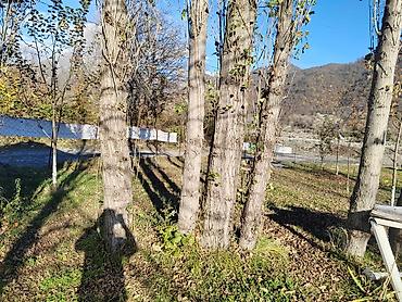 Kommersiya daşınmaz əmlakının satışı: Təcili satılır Obyekt (evdə tikmək üçün ideal yerdir )Qəbələ rayon — 24