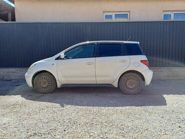 авто кридит бишкек: Toyota ist: 2003 г., 1.3 л, Автомат, Бензин, Седан