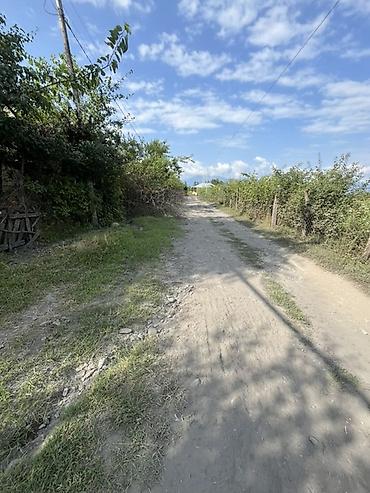 boş torpaq: 6 sot, Tikinti, Kupça (Çıxarış) — 4