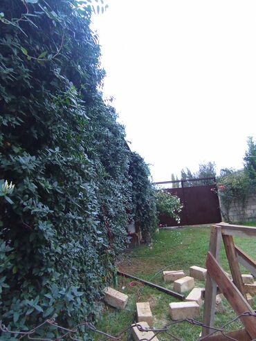 Vazalar: Şabran Rayonu Rəhimli kəndi. Ev yenidir. Ev 1 zal, 3 otaq,1 mətbəx və — 30