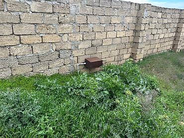 kupça: 4 sot, Kənd təsərrüfatı, Mülkiyyətçi, Kupça (Çıxarış) — 5