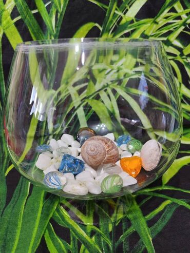 кошачий наполнитель бишкек: Бокал для рыбы петрушка. 2,5 л, все входит в стоимость Писать на