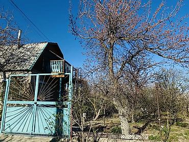 Продажа дач: Продаётся дача в городе Балыкчи, садовое общество «Абрикос» — 6