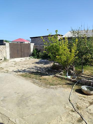 pirallahida ev satilir: 4 otaqlı, 120 kv. m, Kredit yoxdur, Təmirsiz — 5