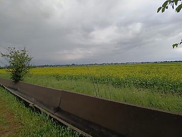 Продажа участков: 250 соток — 11