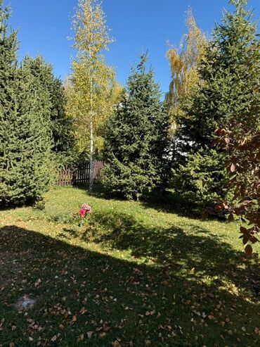 Продажа домов: Дом, 188 м², 4 комнаты, Собственник, Евроремонт — 18