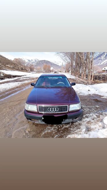 Audi: Audi : 1993 г., 2.6 л, Механика, Газ, Седан