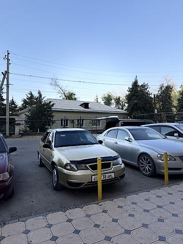 Daewoo Nexia: 2009 г., 1.5 л, Кол менен иштөөчү, Бензин, Седан