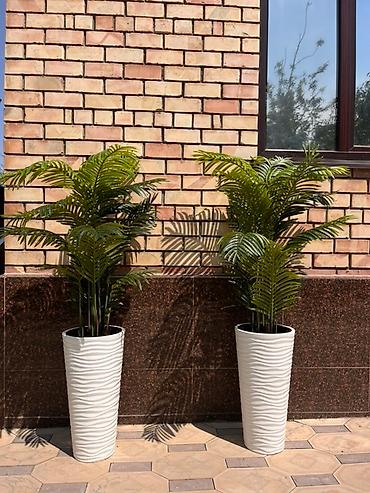 Декоративные цветы: 🌿✨ Mayram Decor.kg – искусственные деревья и цветы в Бишкеке ✨🌿 — 9