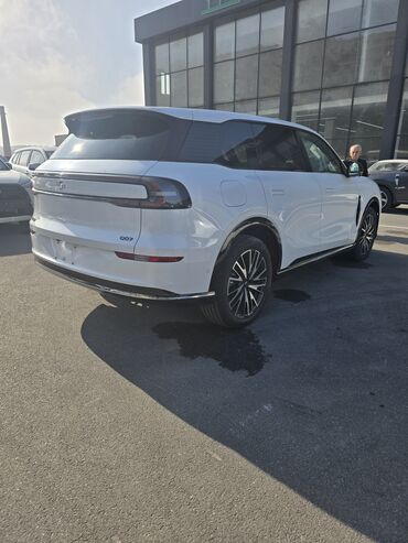 LIFAN: Avtomobil: Livan Q07 (elektrik krossover/SUV) Xüsusiyyətlər: - Geniş — 2