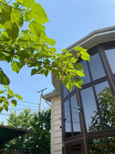 пишпек дом продать: Дом, 287 м², 8 комнат, Собственник, Евроремонт