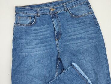 spódnice jeans biała: Jeansy, 2XL, stan - Bardzo dobry