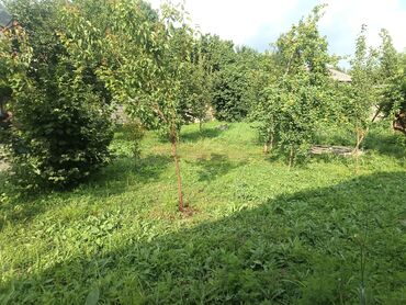 Günlük kirayə evlər: 100 kv. m, 2 otaqlı, Kombi, Qaz, İşıq — 12