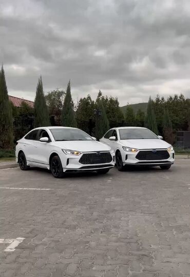 byd e2 цена: Два белых седана BYD Qin Plus с черными дисками. Эти автомобили имеют