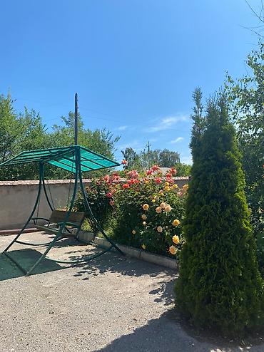 Иссык-Куль 2026: Номер, Аист Тамга — 4