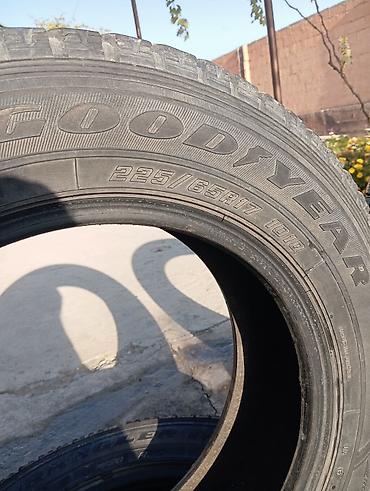 толщиномер etari et 700 max: Зимние шины Goodyear/Dunlop Winter Maxx - Размер: 225/65 R17 - Индекс — 1