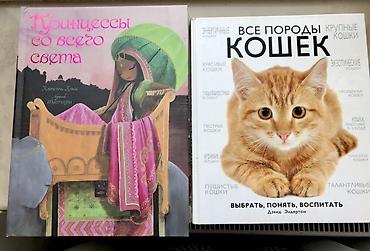 Digər kitablar və jurnallar: 1) “Принцессы со всего света” (Princesses du monde) - Müəllif: Катель — 1