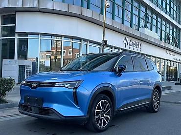 Weltmeister: Weltmeister W6, 2021 г., 60000 км, На заказ — 2