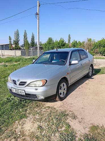195 70 с: Nissan Primera: 2001 г., 1.8 л, Механика, Бензин, Седан — 1