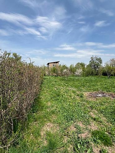 Продажа участков: 13 соток, Красная книга, Договор купли-продажи — 2