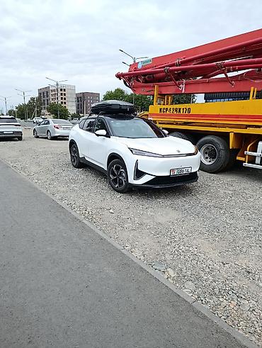 byd han ev: Zeekr : | 2026 г. Кроссовер — 7