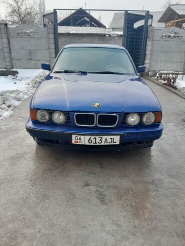 bmw э34: BMW 5 series: 1990 г., 2.5 л, Механика, Бензин, Седан