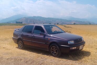 бакавой стекло: Volkswagen Vento: 1992 г., 1.8 л, Механика, Бензин, Седан