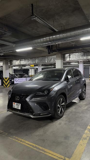 Lexus: Lexus NX: 2020 г., 2 л, Автомат, Бензин, Кроссовер — 1
