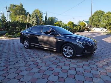 радиатор малибу: Hyundai Sonata: 2019 г., 0.2 л, Автомат, Газ, Седан — 6