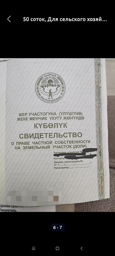 Недвижимость: 150 соток, Договор купли-продажи — 3