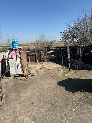 Продажа коттеджей и домов: Продаётся одноэтажный дом с просторным двором и хозяйственными — 7