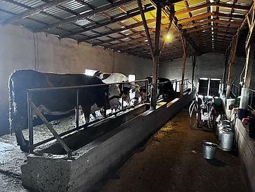 Продажа коттеджей и домов: Срочно продается дом +большой участок Адрес: Беловодский село Бала at lalafo.kg — 4 Продажа коттеджей и домов: Срочно продается дом +большой участок Адрес: Беловодский село Бала — 4