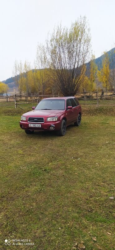 одноместная машина: Subaru Forester: 2003 г., 2 л, Автомат, Бензин