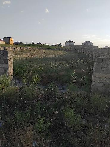 savalanda evler: 4 sot, Tikinti, Makler, Kupça (Çıxarış) — 4