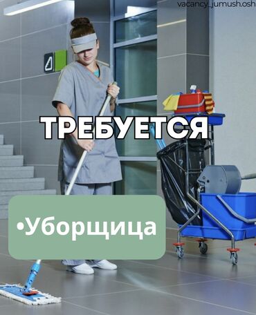 я ищу работу в кафе: Талап кылынат Тазалоочу, Төлөм Күнүмдүк