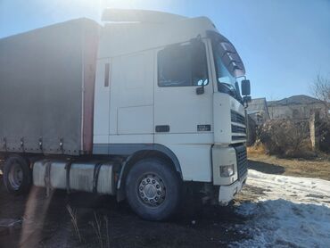 Тягачи: Тягач, DAF, 2000 г., Шторный — 9