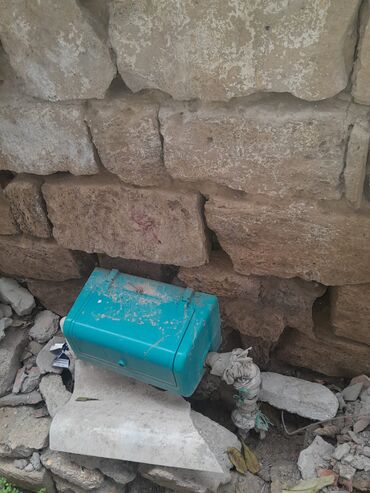 Çöl bitkiləri: Zabrat 2 stansiyasına yaxındir. sənəd kupça avtobus dayanacağına — 20