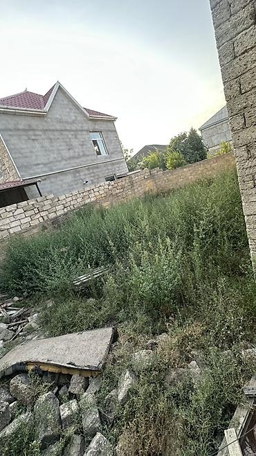 hazir ipotekada olan evler 2023: Binede 3 sotun icinde ev satilir qazi var suyu var isigi var 7 das — 8