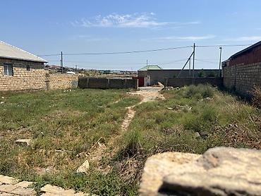 bartee: 6 sot, Tikinti, Mülkiyyətçi, Kupça (Çıxarış) — 2