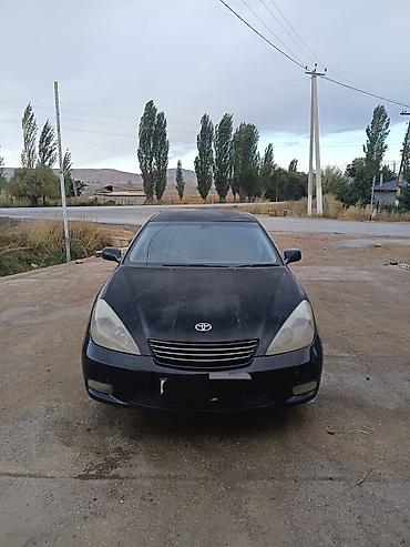 таота филдер: Toyota Windom: 2003 г., 3 л, Автомат, Газ, Седан — 2