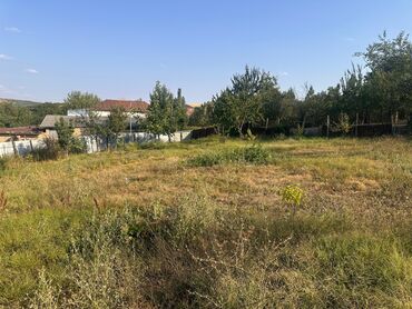 Torpaq sahələrinin satışı: 5 sot, Tikinti, Mülkiyyətçi, Kupça (Çıxarış) — 5