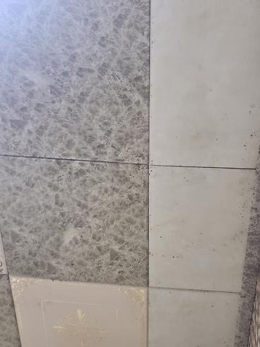 asma tava: Asma tavan, Suyadavamlı, Ünvandan götürmə, Ödənişli quraşdırma, Zəmanətli — 3
