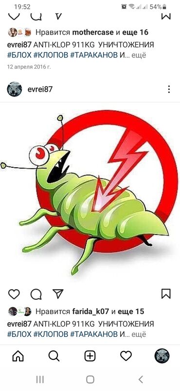 уничтожение клопов насекомых: Дезинфекция, дезинсекция | Канталалар, Бүргөлөр, Таракандар | Транспорт, Офистер, Батирлер