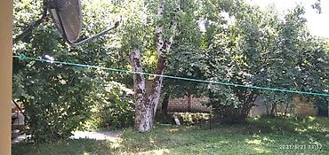 Günlük kirayə evlər: 100 kv. m, 3 otaqlı, Kombi — 5