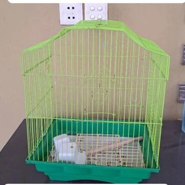 где купить собаку в баку: Qefes, boyuk olcudur. 22 man. Unvan Qala