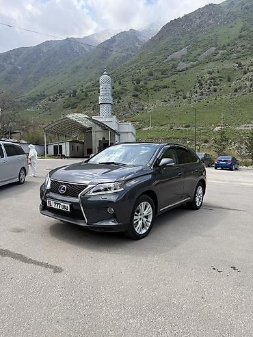 Lexus: Lexus RX: 2011 г., Кроссовер — 6