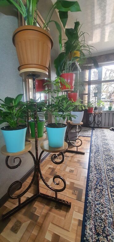 Декоративные цветы: Гүл койгучтар сатылат.биринчи ярус 52см,экинчи ярус 1м05см. баасы — 7